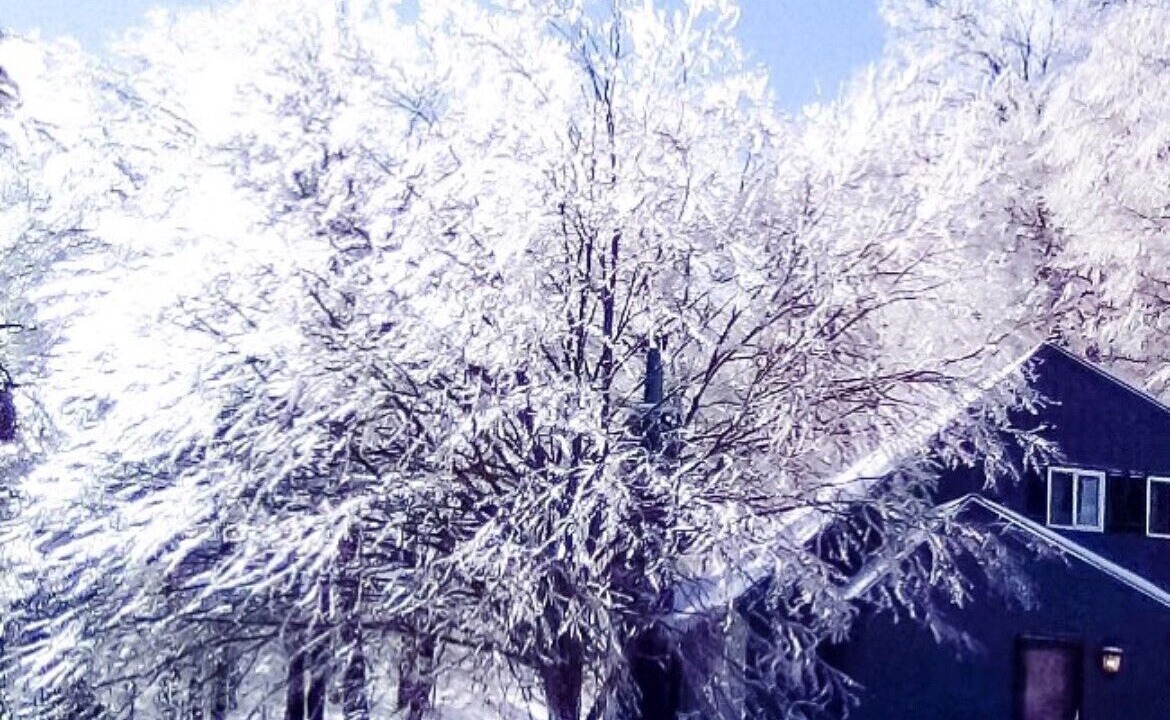 Photo of Outdoor in West Dover