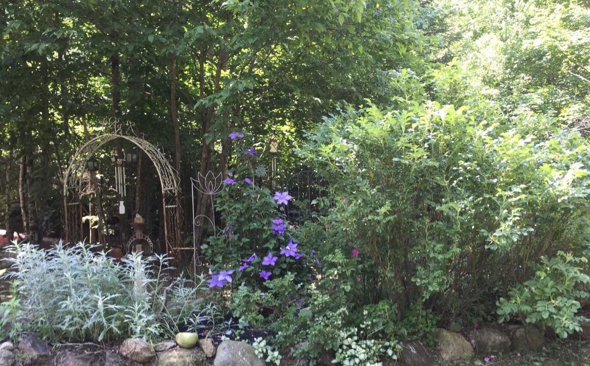 Photo of Outdoor in North Creek