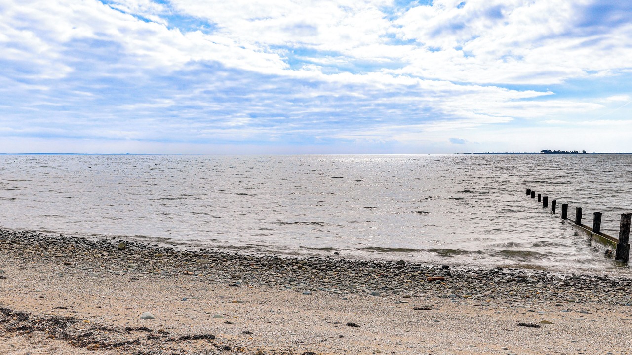 Photo of Others in Milford