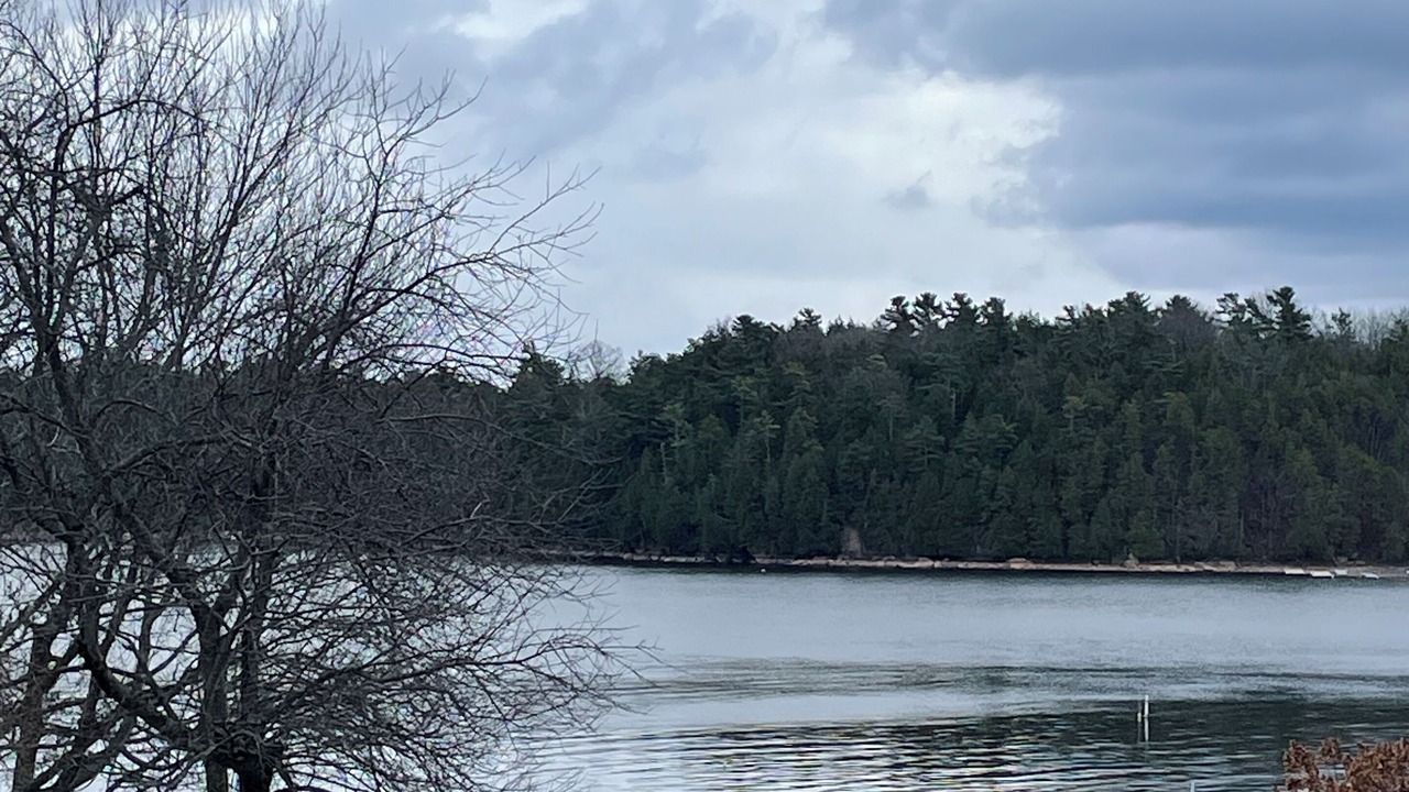 Photo of Others in Malletts Bay