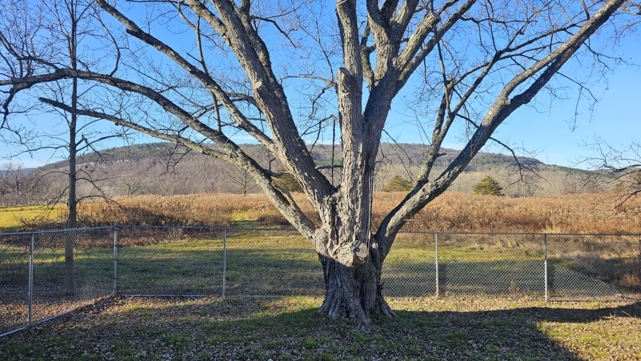 Photo of Others in Schoharie