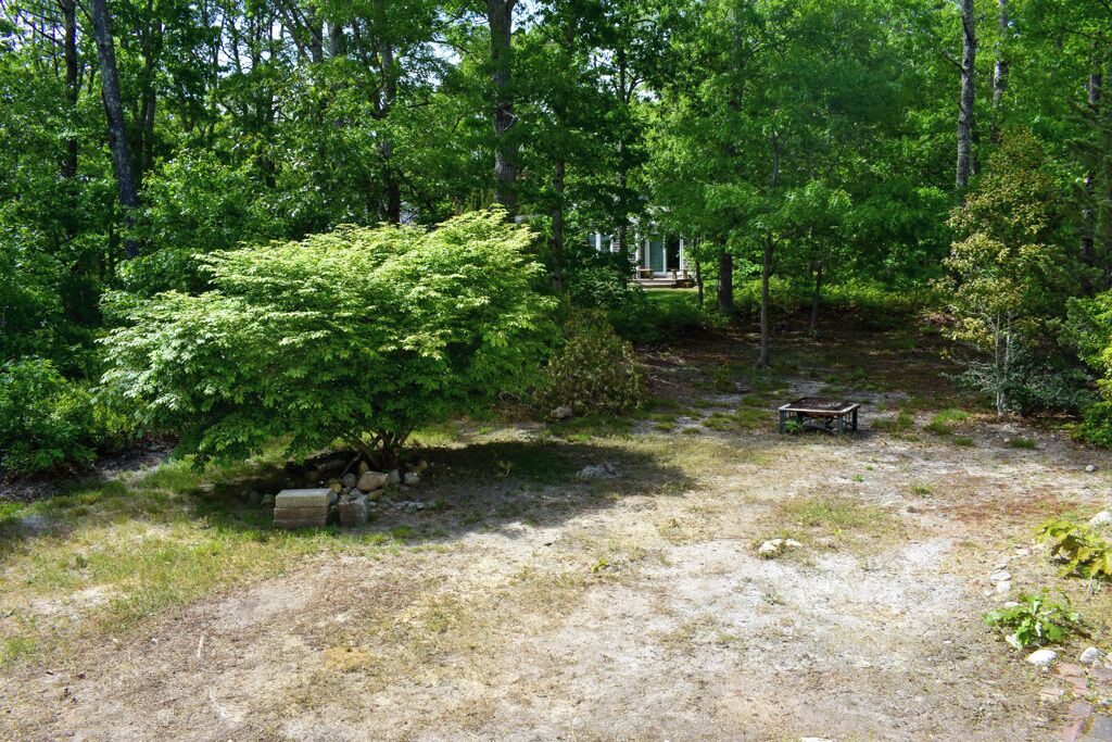 Photo of Outdoor in Dennis