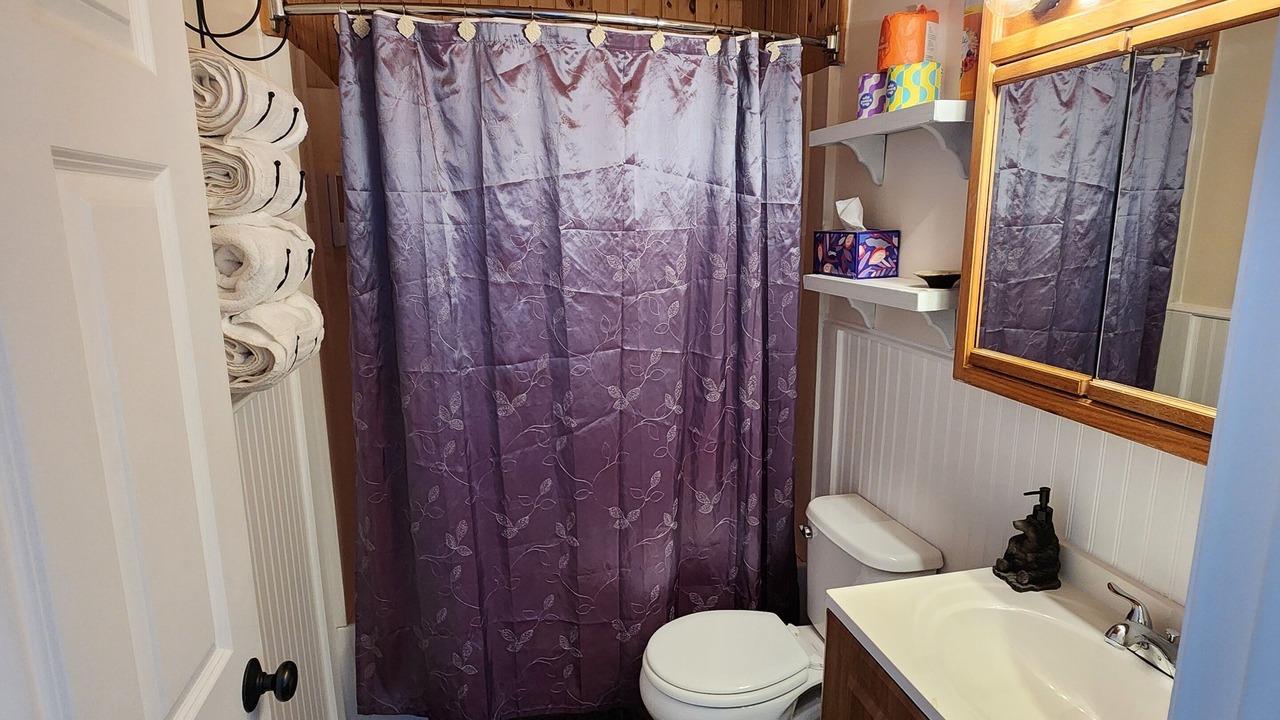 Photo of Bathroom in Bartlett