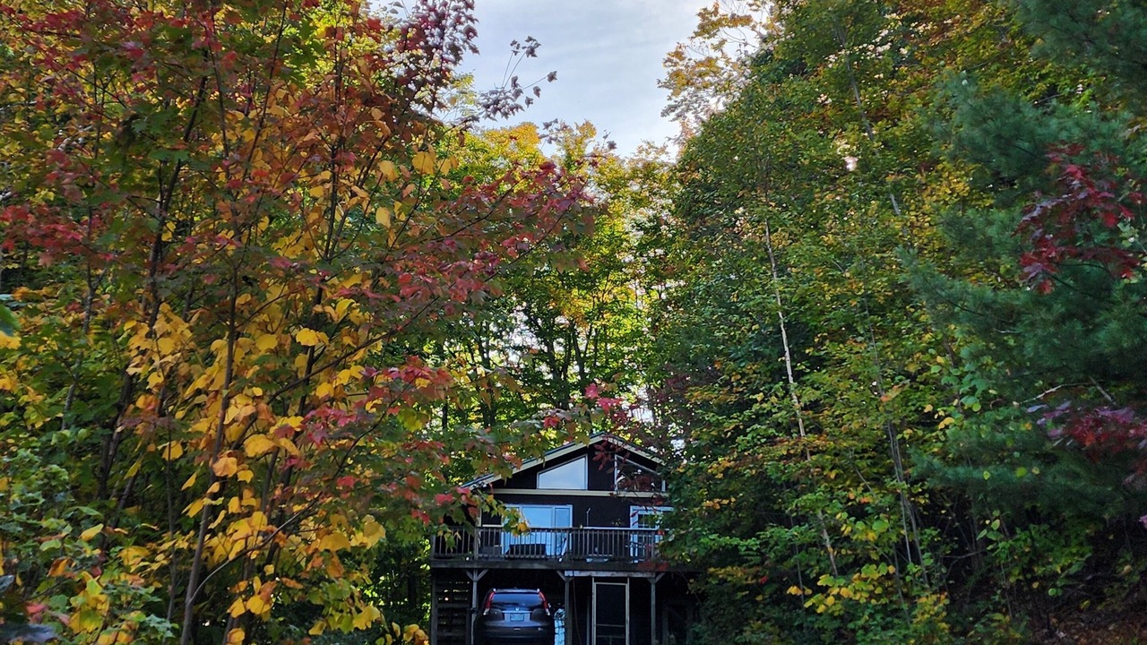 Photo of Outdoor in Bartlett