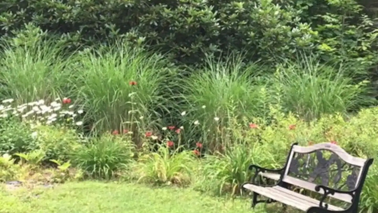 Photo of Outdoor in Highmount