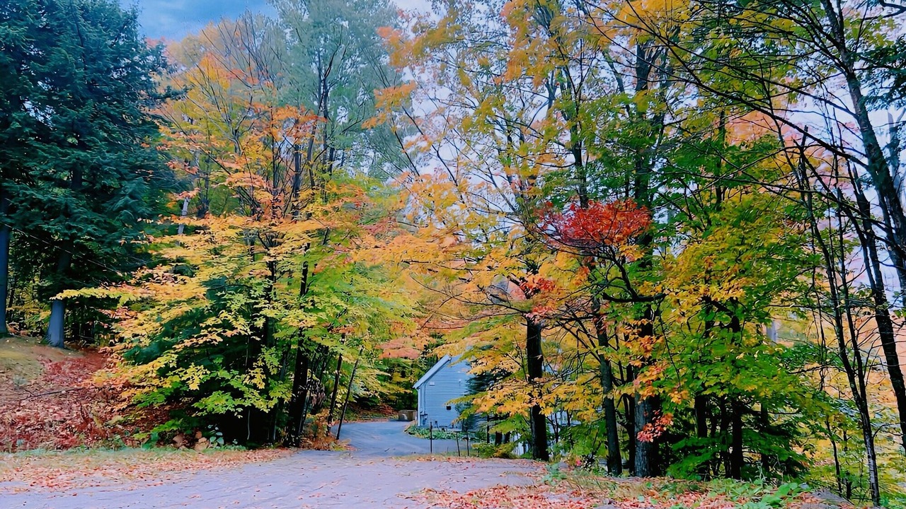 Photo of Outdoor in Stratton Mountain