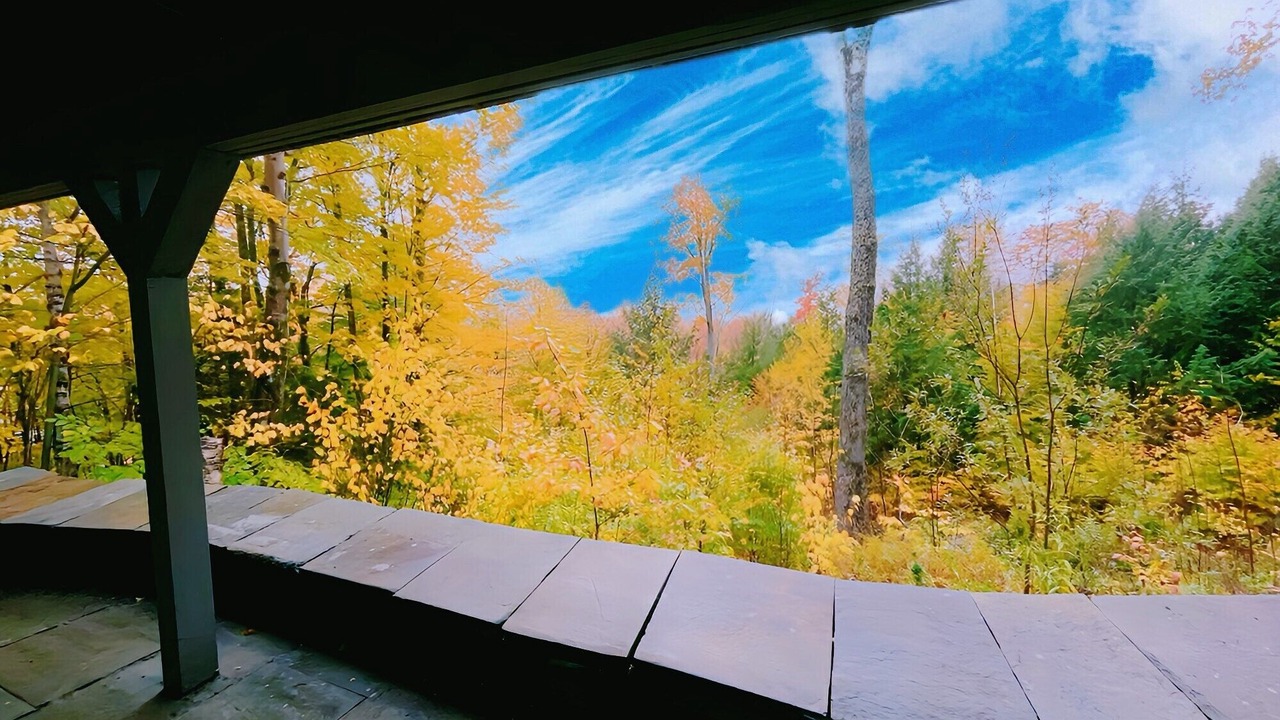 Photo of Patio Balcony in Stratton Mountain