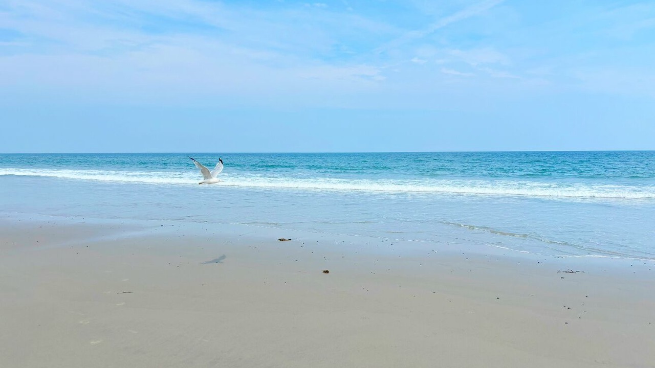 Photo of Others in Hampton
