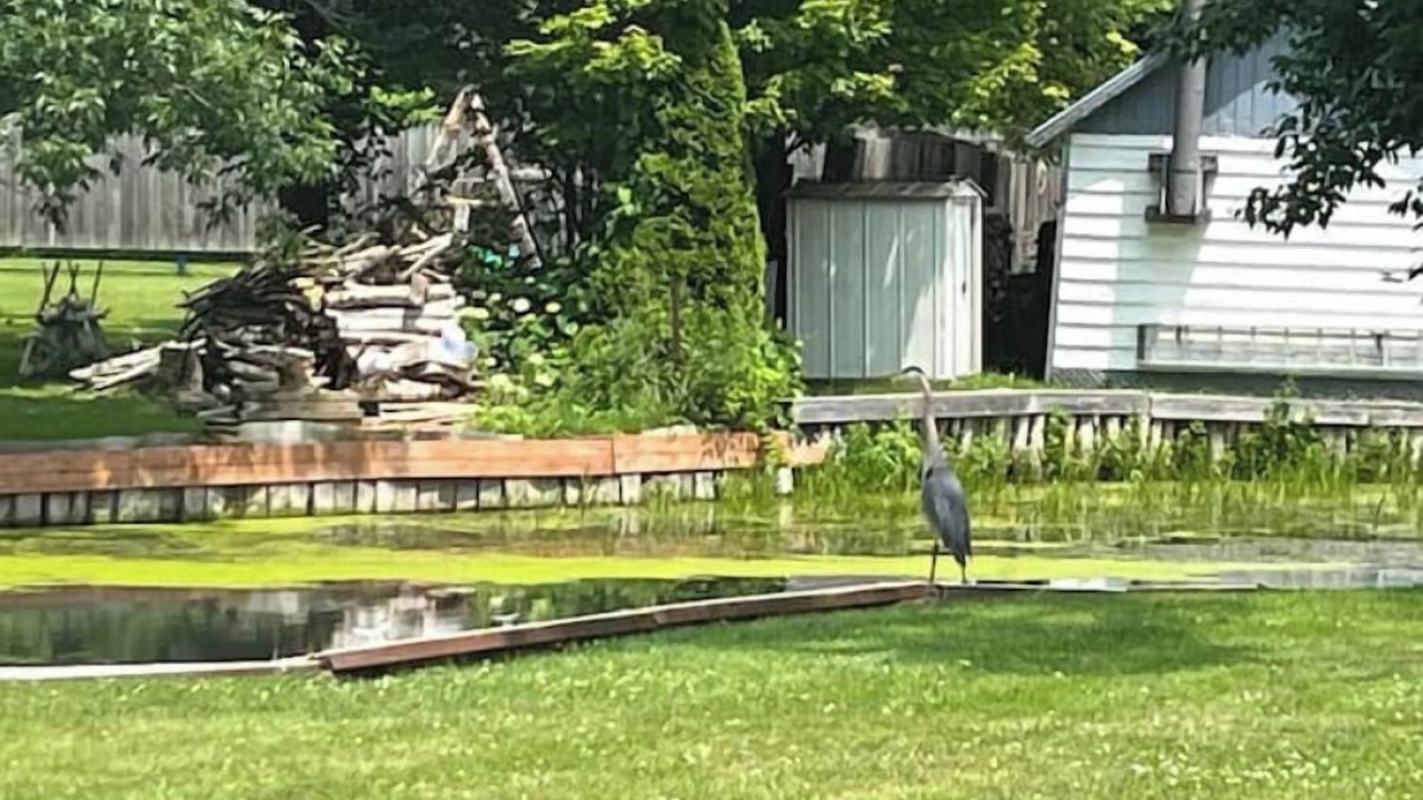 Photo of Others in South Glengarry