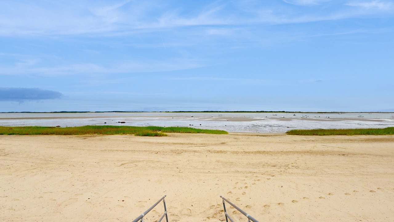 Photo of Others in Barnstable