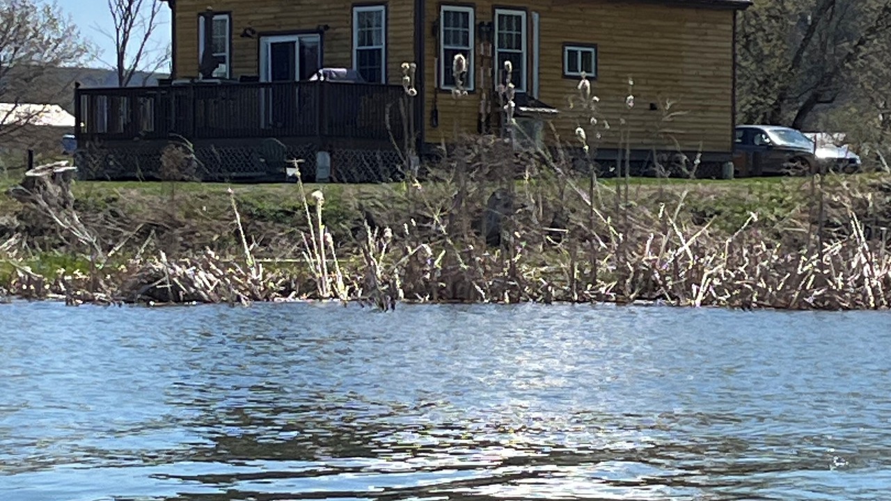 Photo of Outdoor in Whitehall