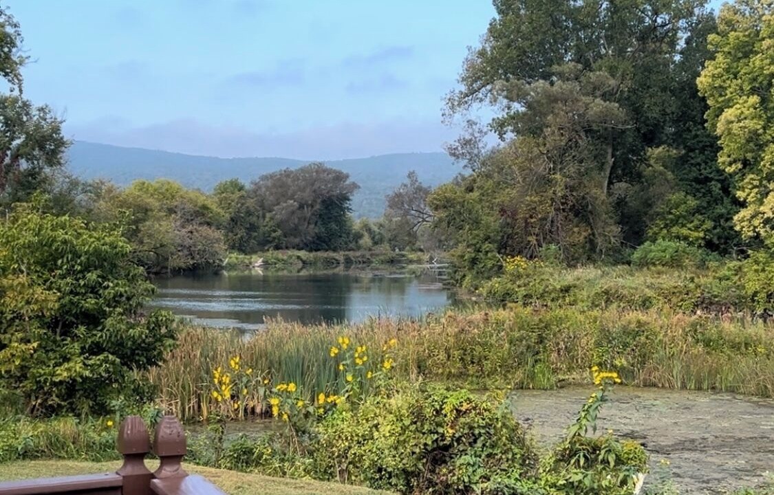 Photo of Outdoor in Whitehall