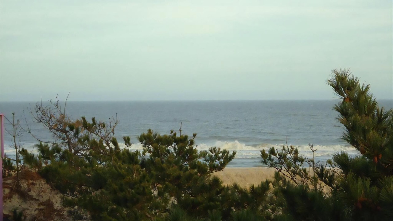 Photo of Others in North Beach Haven