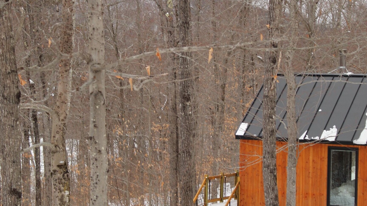 Photo of Outdoor in South Pond Shores