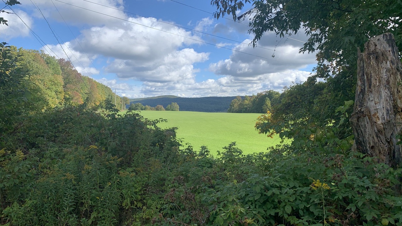 Photo of Others in Hartwick