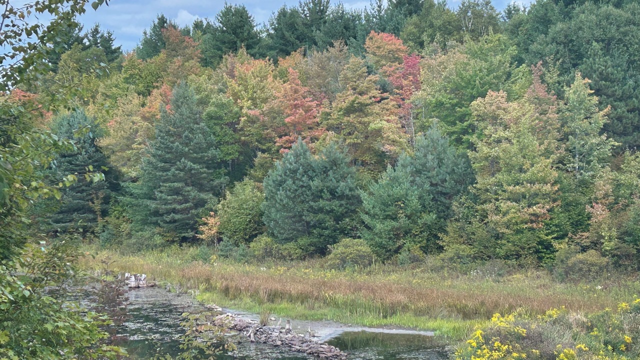 Photo of Others in Richmondville