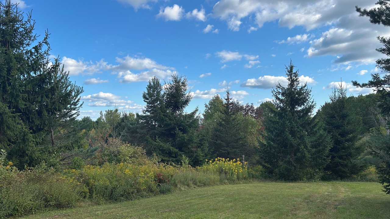 Photo of Others in Richmondville