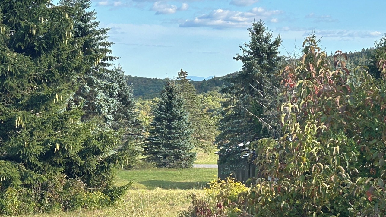 Photo of Outdoor in Richmondville
