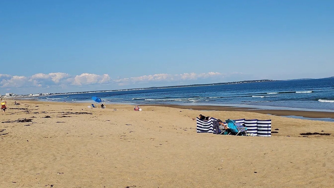 Photo of Others in Ocean Park