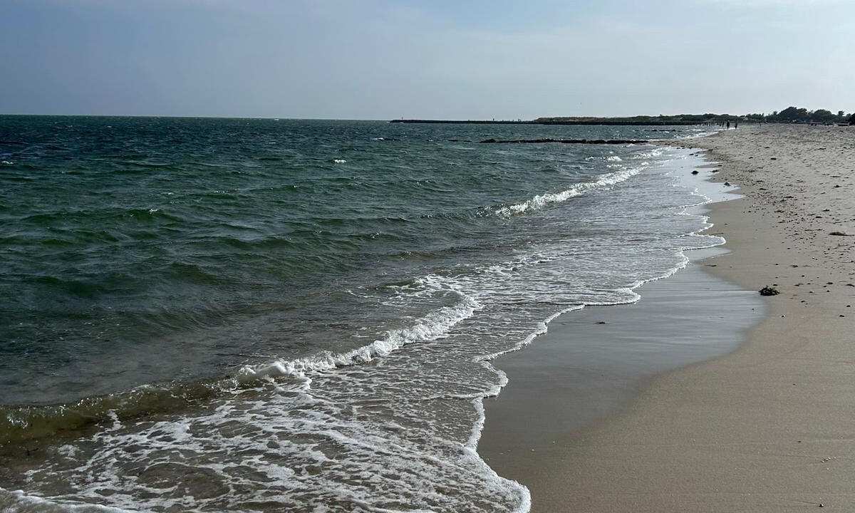 Photo of Others in South Yarmouth