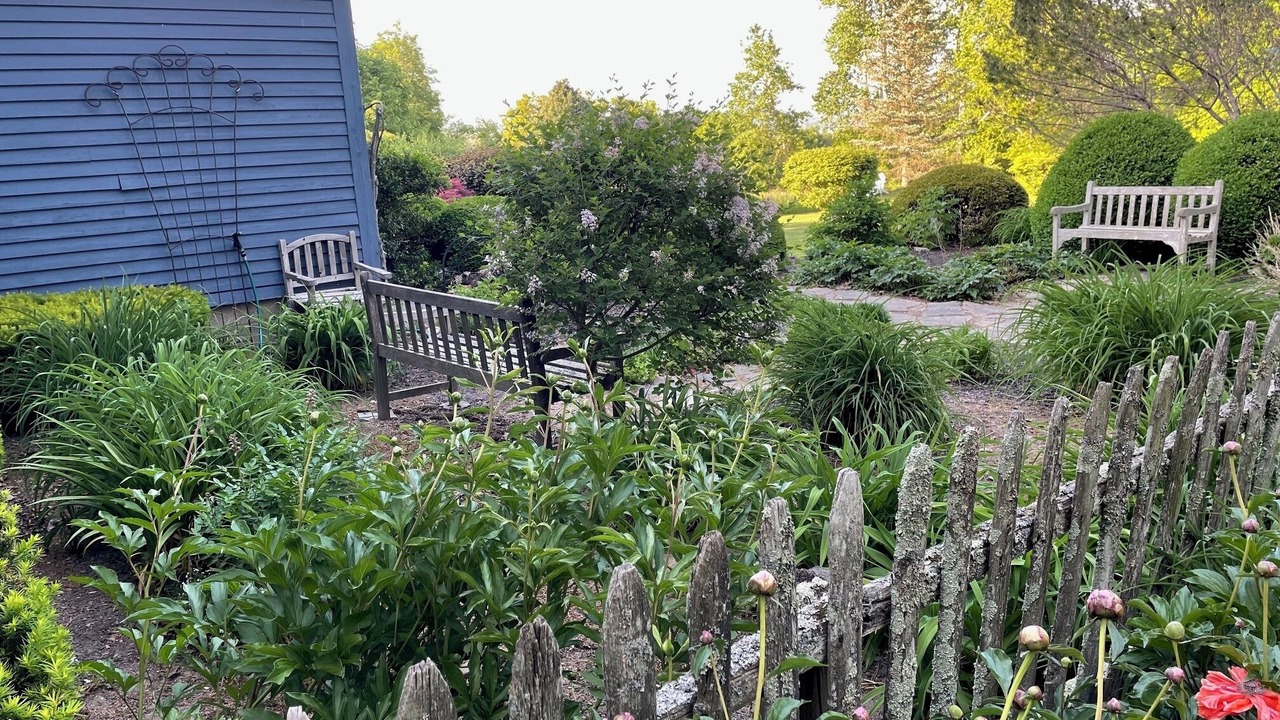 Photo of Others in Skaneateles