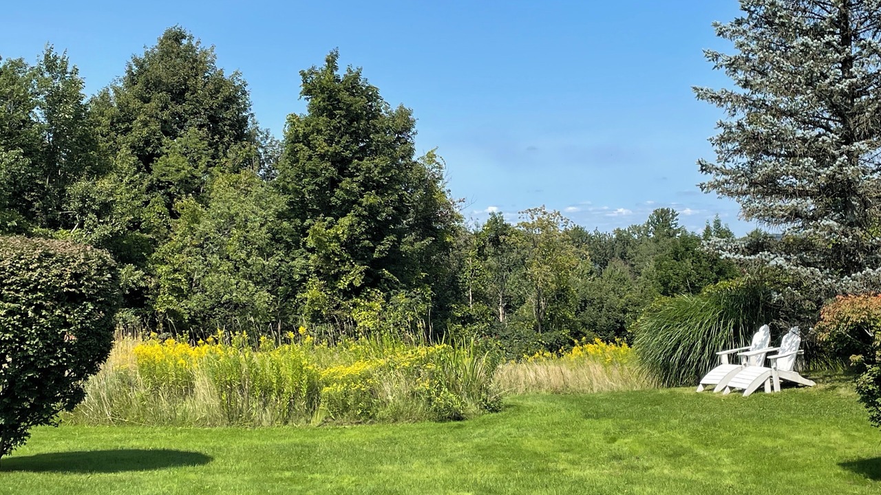 Photo of Others in Skaneateles
