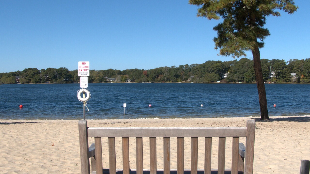 Photo of Others in East Harwich