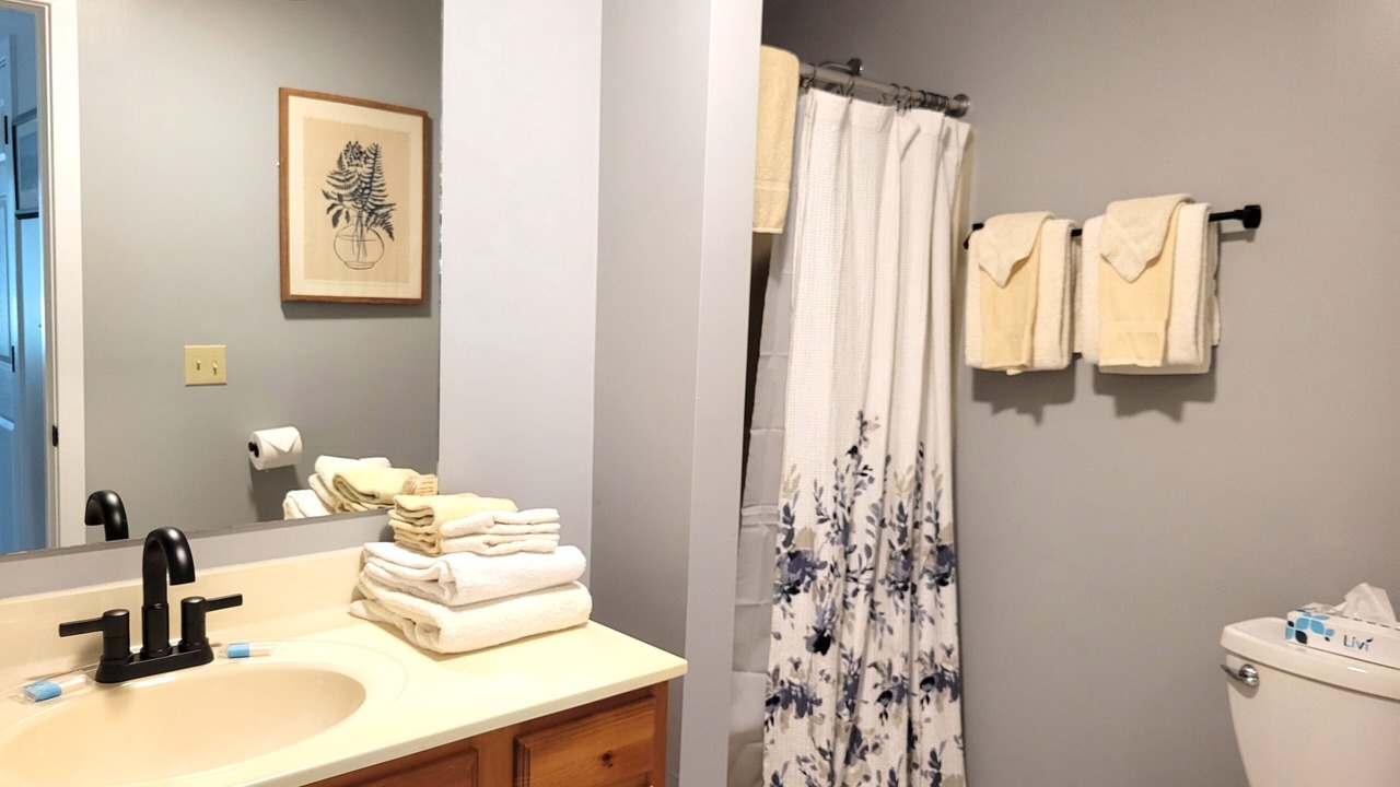 Photo of Bathroom in Bartlett