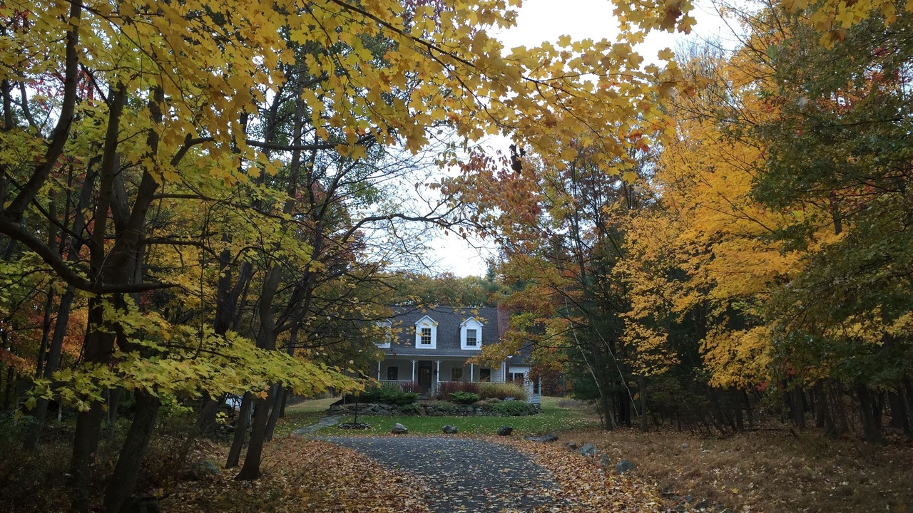 Photo of Outdoor in Cold Spring