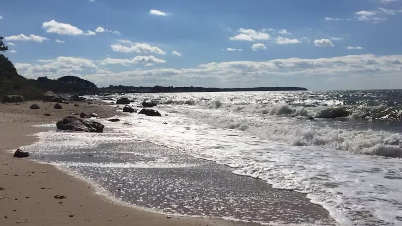 Photo of Others in Greenport West