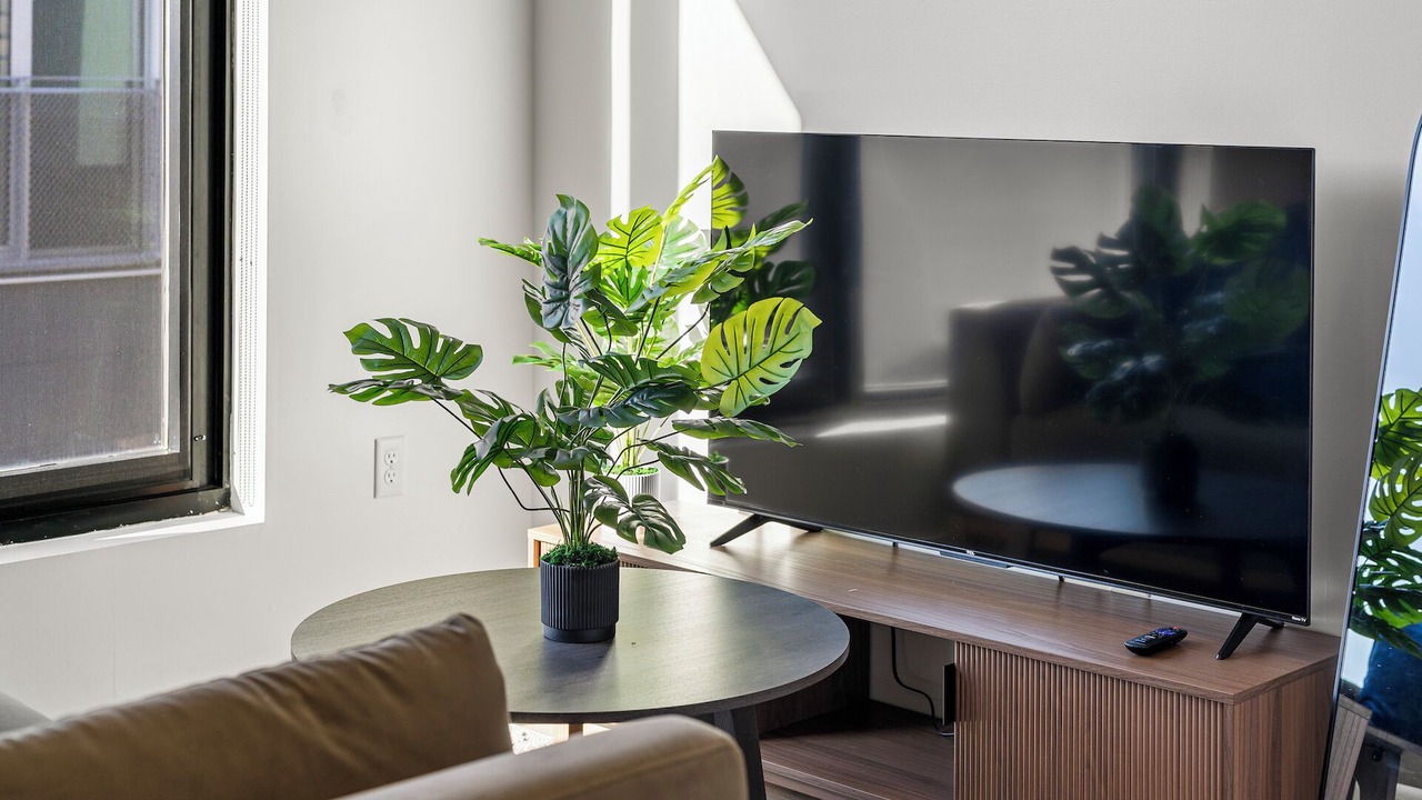 Photo of Livingroom in D Street - West Broadway