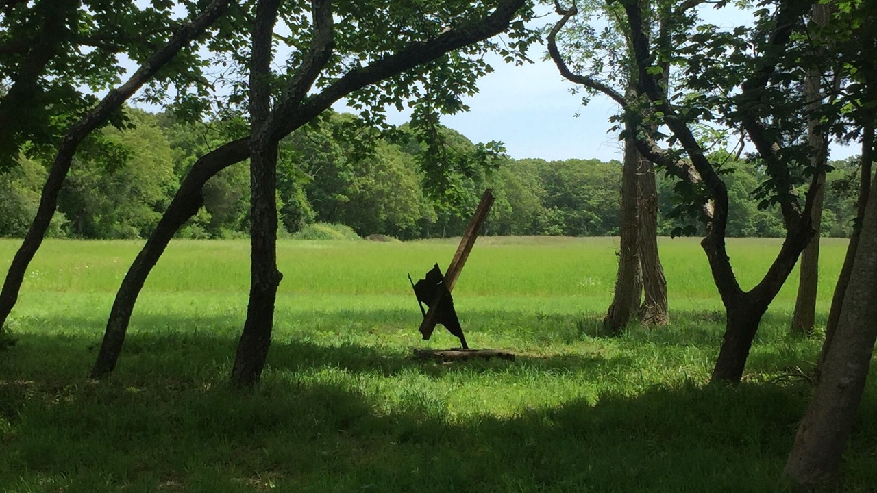 Photo of Others in West Tisbury