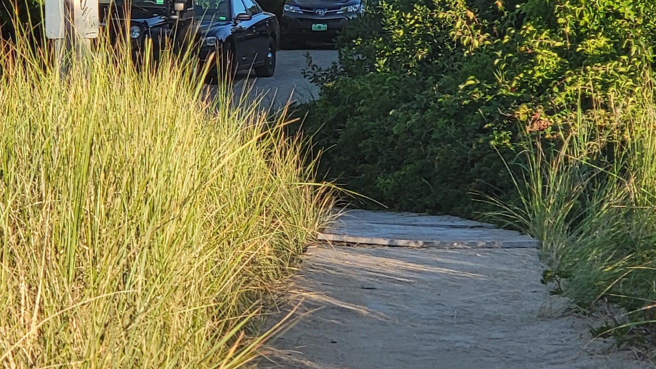 Photo of Outdoor in Ocean Park