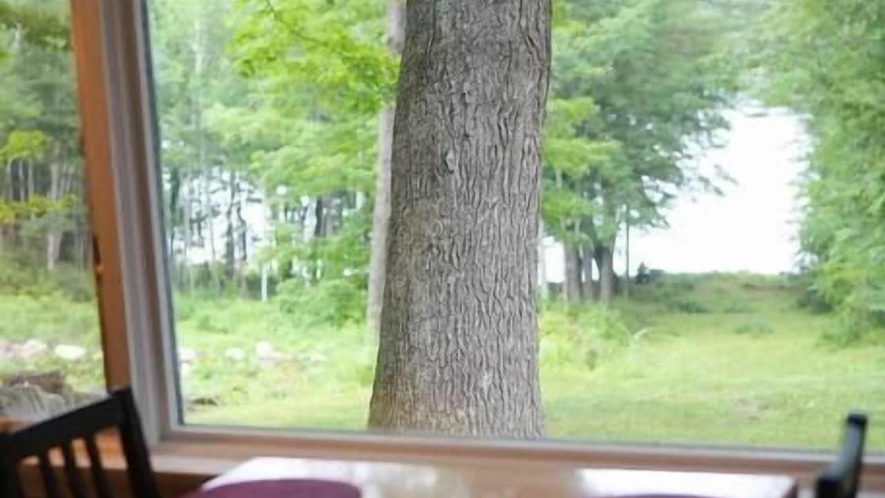 Photo of Others in Moultonborough