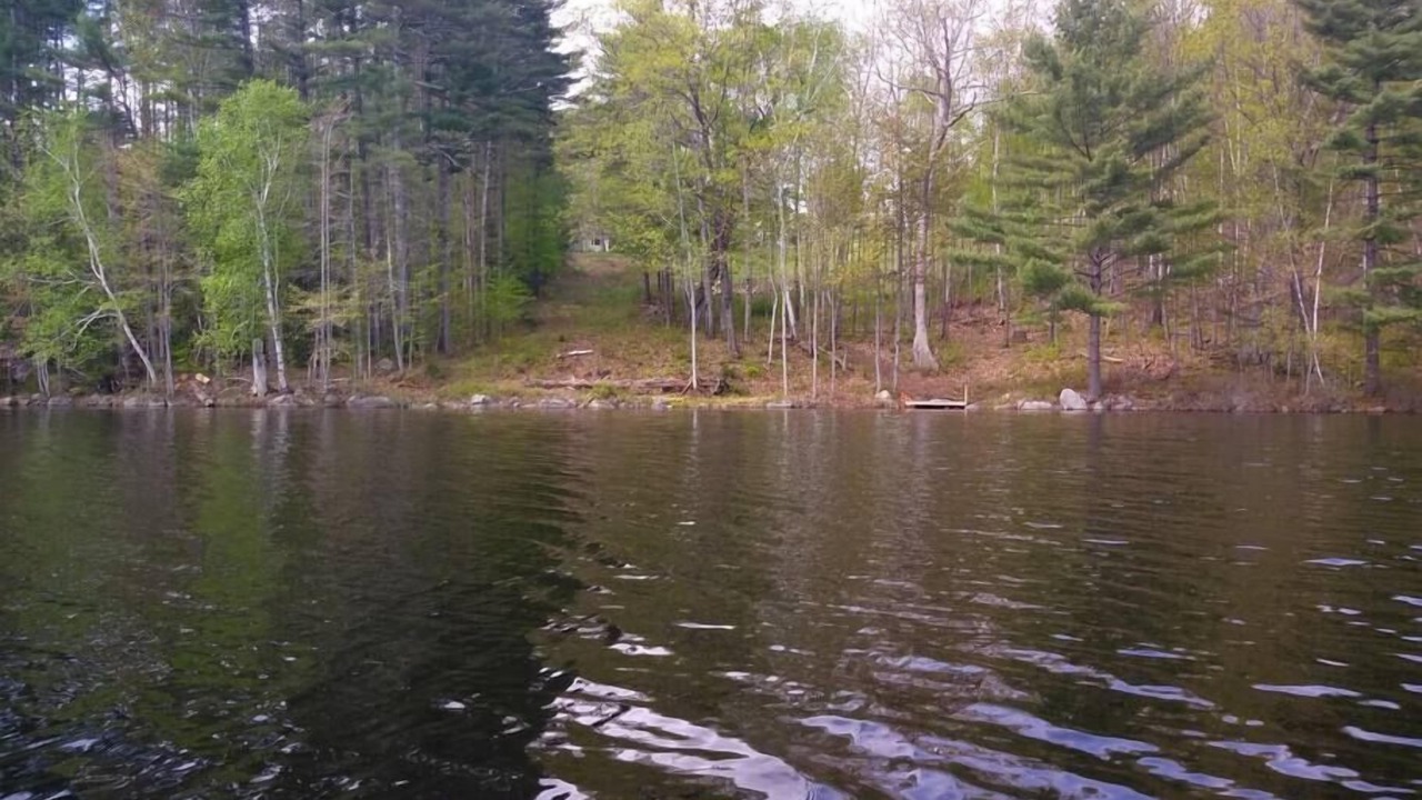Photo of Others in Moultonborough