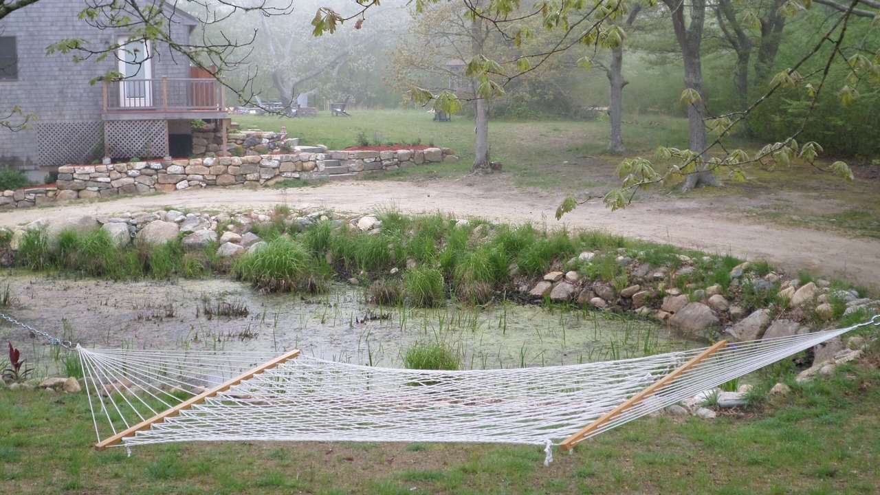 Photo of Outdoor in Aquinnah