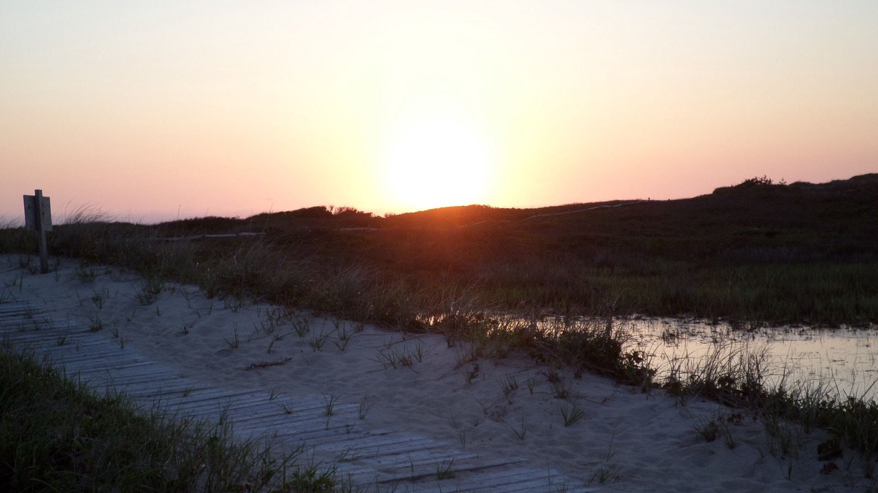 Photo of Others in Aquinnah