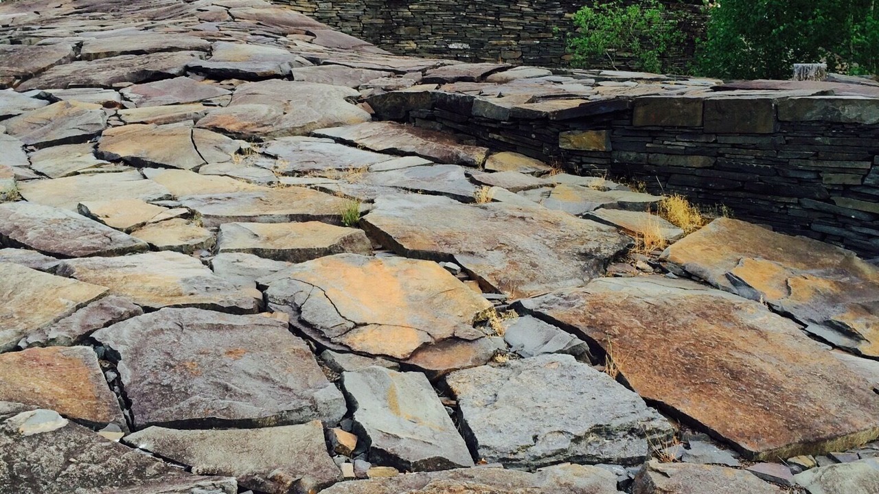 Photo of Others in Saugerties