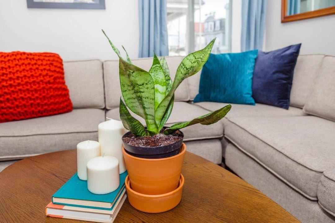 Photo of Livingroom in Dorchester