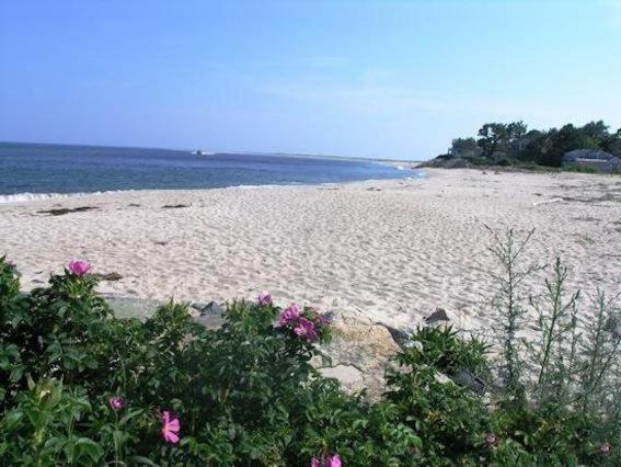 Photo of Others in Chatham