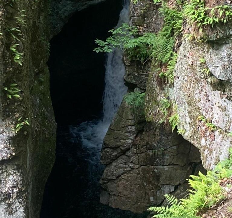 Photo of Others in Lovell
