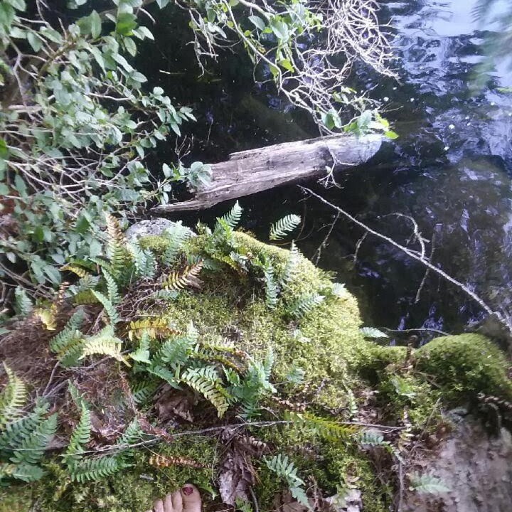 Photo of Others in Lovell
