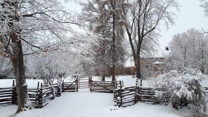 Photo of Others in Elizabethtown-Kitley