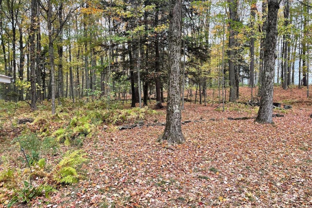 Photo of Others in Afton
