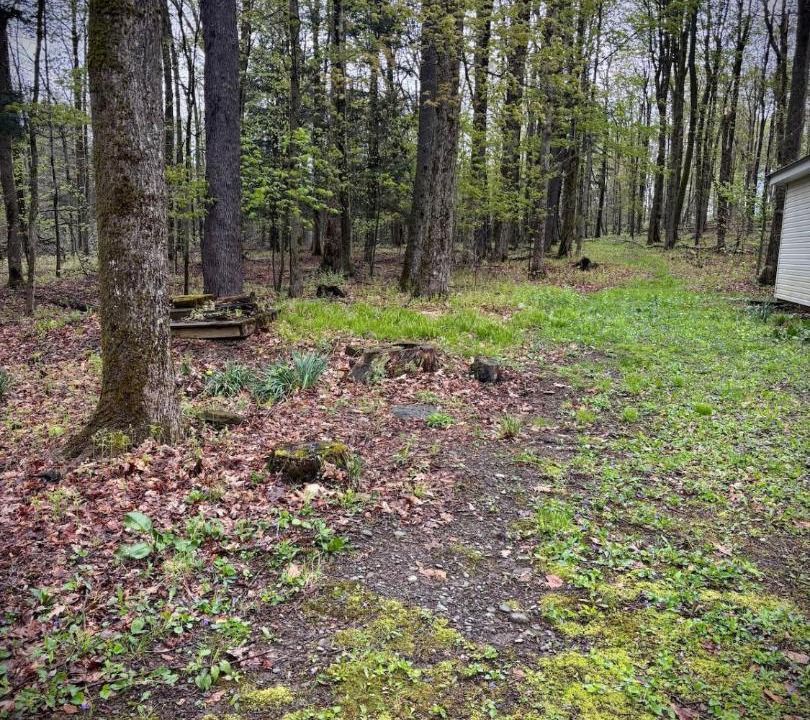 Photo of Others in Afton