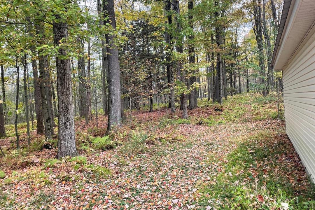 Photo of Others in Afton