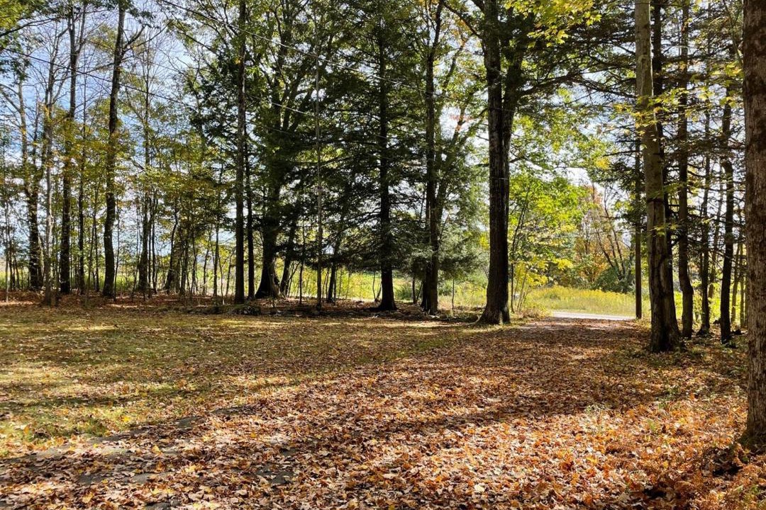 Photo of Others in Afton