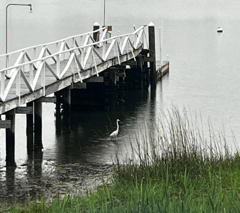 Photo of Others in Narragansett