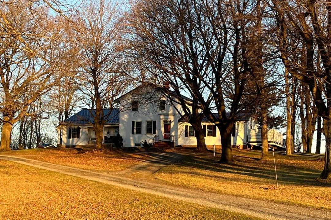 Photo of Others in Bloomfield