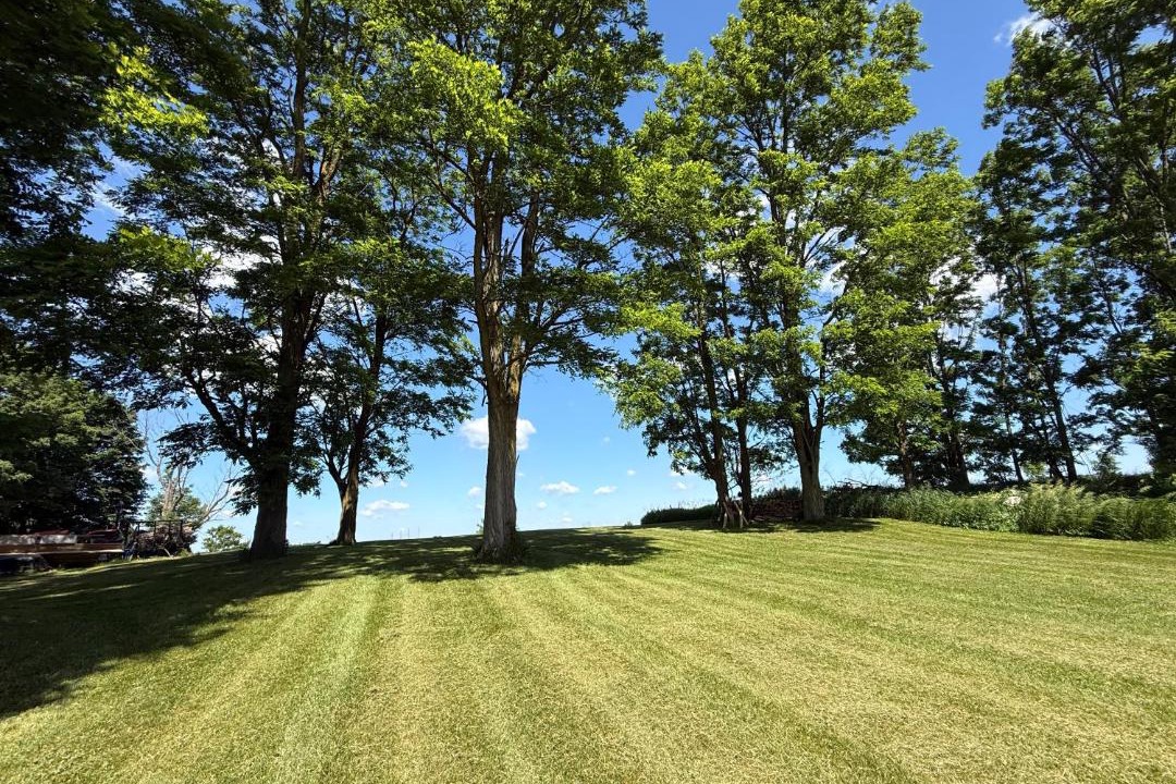 Photo of Outdoor in Bloomfield